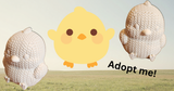 Animal Adoption Station!