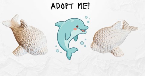 Animal Adoption Station!